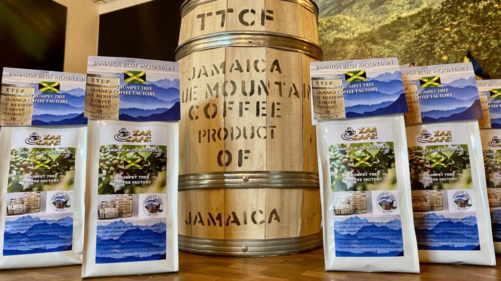 JAMAICA BLUE MOUNTAIN TRUMPET TREE panoramica