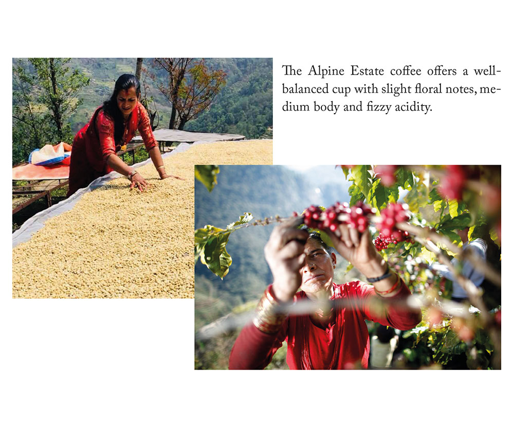 NEPAL ALPINE COFFEE ESTATE work 1