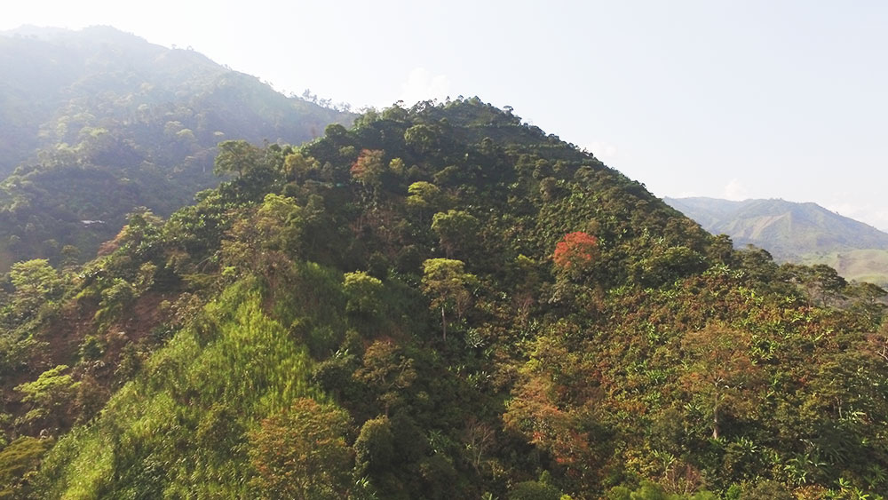 Tolima-Gourmet-BIO