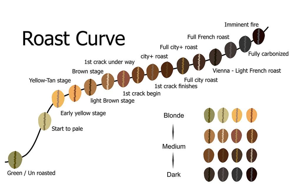 roasting-curve